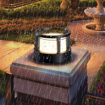 China Landscape theme park residential garden led garden ball light 12v24v110v 220v 277v outdoor garden light for sale