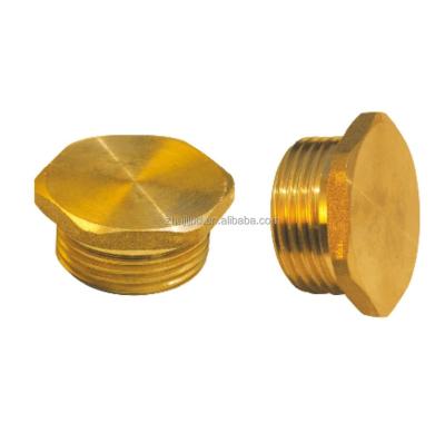 China Hot& High Quality Plumbing Material Brass Male Plug Cold Water Pipe Connection Male Socket Pipe Fitting for sale