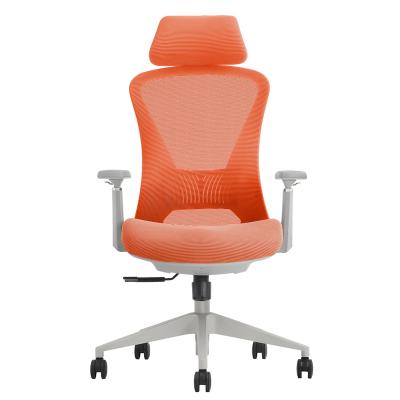 China Executive Chair (Height) Hot Selling New Adjustable Ergonomic Desk for sale