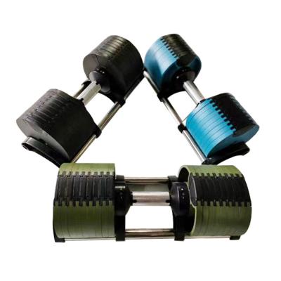 China Dumbbell Plated 24 Kg Adjustable Dumbbell Weights Set For Men for sale