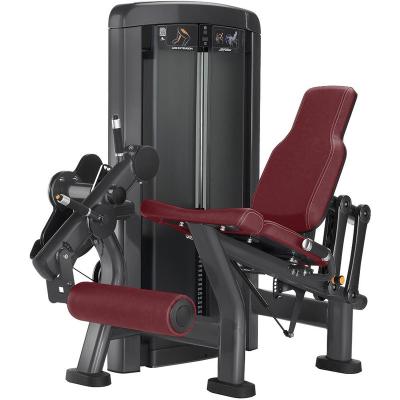 China High Quality Universal Fitness Equipment Strength Training Gym Seated Leg Extension Machine for sale