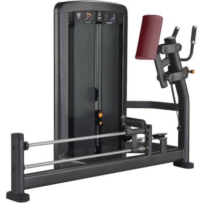 China Universal Strength Machine Commercial Fitness Equipment For Glute for sale