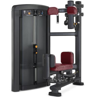 China Universal Strength Machine Commercial Fitness Equipment For Torso Rotation for sale