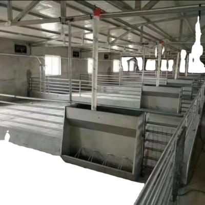 China Hot Automatic Pig Farm Factory Sales Pig Feeder Equipment And Water Feeder For Pig for sale