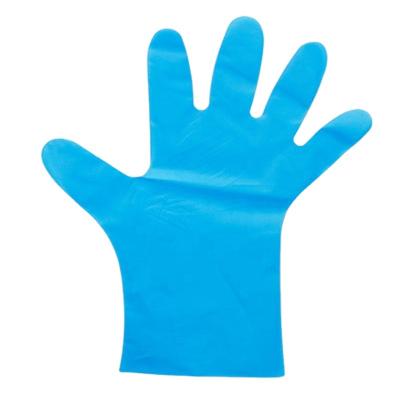 China Custom Waterproof 200 Pcs / Transparent And Blue Box Food Grade Tape Gloves With High Elastic for sale