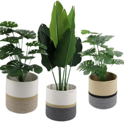 China Small Sustainable Natural Woven Cotton Rope Plant Basket For Flower Pot 10