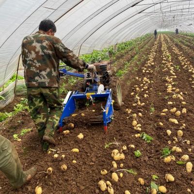 China Factory sale Small automatic tractor potato harvester with CE certification à venda