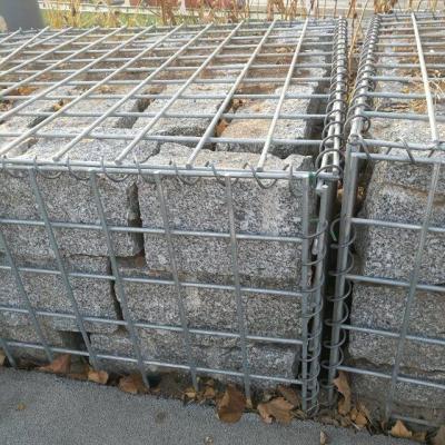 China Easily Assembled Anping 8 Gauge 2x1x0.5m Square Hole Welded Galvanized Gabion Wall Box Basket Stone Cage for sale