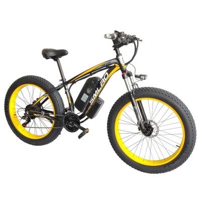 China High Quality Aluminum Alloy Adult Power Big Fast 21 Speed ​​26 Inch 1000w Fat Tire Waterproof Electric Bike for sale