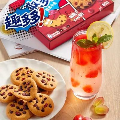 China Wholesale China Normal Sale Hot Chocolate Flavored Cookies 144g for sale