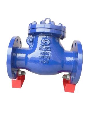 China General DIN Swing Out Non Return Check Valve Flange End RF for sale