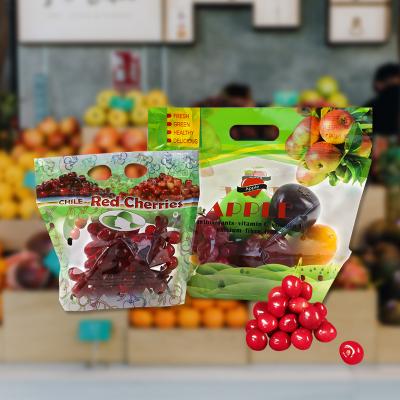 China Custom Print Compostable Bottom Veggie Bottom Vented Vegetable Packaging Bag ANTI-STATIC Reusable 2 Mil Die Cut Handle Flat for sale