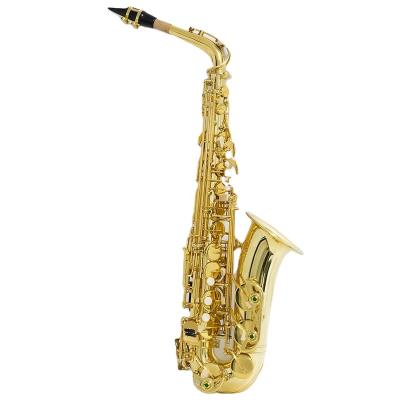 China Gold Lacquer Educational Hot Selling Woodwind Instrument Made in China Alto Saxophone for sale