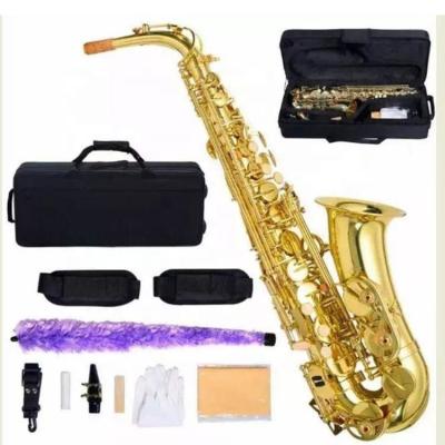 China New High Quality Educational Alto Saxophone Instrument Gold Lacquer For Style Woodwinds for sale