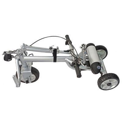 China Steel Frame Unisex Outdoor Electric Scooter Three Wheel Scooter Motorcycle With CE for sale