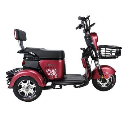 China Professional Carbon Steel Manufacturer Adult Motorcycle Covered 3Wheel Electric Tricycle for sale