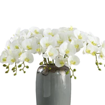 China Fashion Tender Commodity Quality Hot Flowers For Stone Flower Party Decoration Wedding for sale