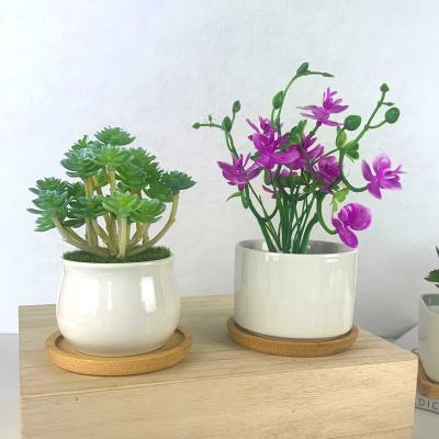 China Amazon Modern Hot Selling Mini Flower Pot Ceramic Succulent Pot With Wooden Tray Ceramic Planter For Succulents for sale