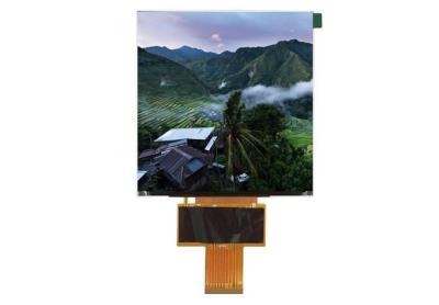 China 5.0inch 600X600 IPS Highlight Square LCD-scherm met Mipi-interface Te koop