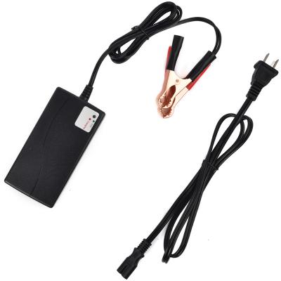 China Standard Battery 12.6V 2A Phylion Battery Charger for RC Bikes and Tanks for sale