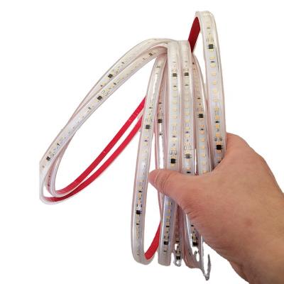 China Hotel DC Connector Driver Free LED Strip Light Super Waterproof White Warm White AC220V Direct Input Led Strip Light for sale