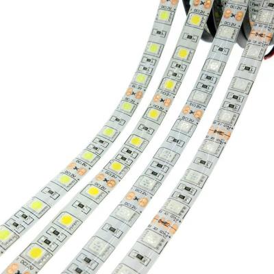 China LANDSCAPE SMD High Quality Waterproof 5050 LED Lighting Strip Linear Flexible RGB Led Strip DC 12V 24V Smart LED Strip Light for sale