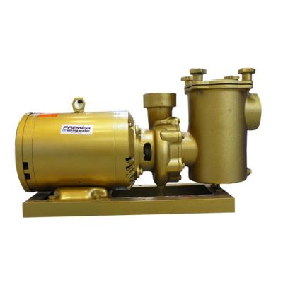 China Swimming pool 4hp 5hp water pump swimming circulation for swimming pool for sale