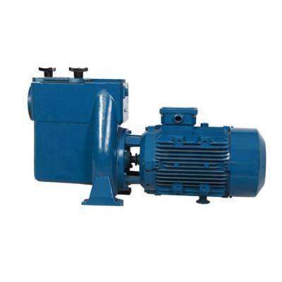 China Cast Iron 5.5 Hp Endless Electric Water Pump For Swimming Pool for sale