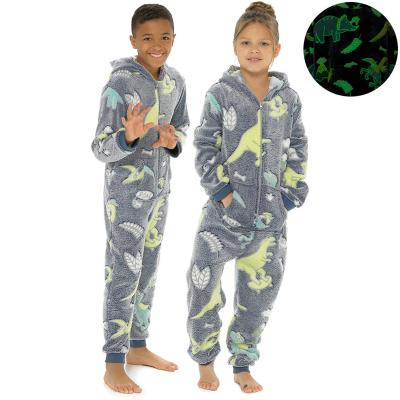 China Thermal Glow In The Dark Dinosaurs Kids Boys Girls One Piece 4 -14 Years Old for sale