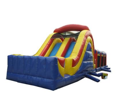 China Big Slide Commercial Inflatable Sports Game Waterproof Digital Printing for sale