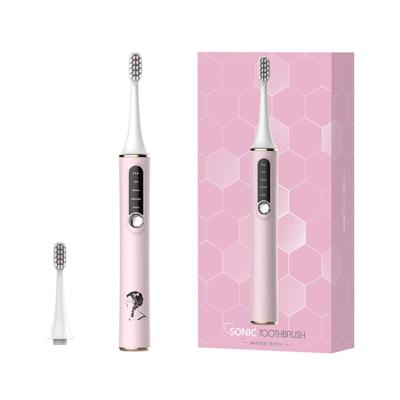 China Factory Custom Logo IPX7 USB Dupont Medium Bristle Sonic Toothbrush Electric For Adult USB Rechargeable Travel for sale