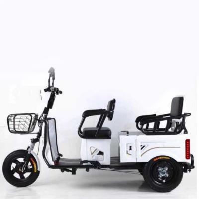 China High Power Tricycles China Manufacturer Steel Electric Trike E-Trike Tricycle In Stock (48/60V 500W) for sale