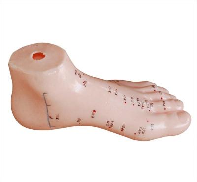 China XC-510 PVC Foot Acupuncture Model 13CM for sale