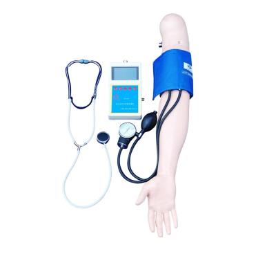 China Medical Models Electronic Blood Pressure Measurement Training Arm (xc-h16) for sale