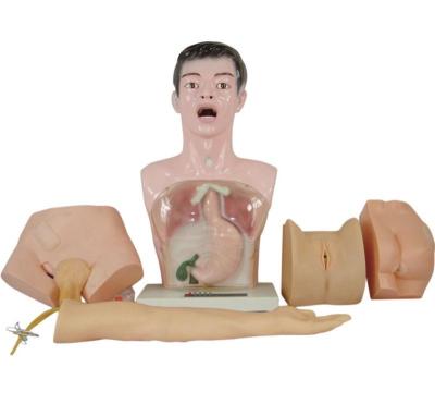 China XC-405 PVC Nurse Basic Practice Teaching Model for sale