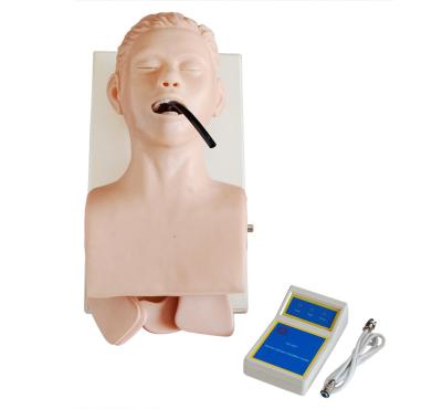 China XC-407 PVC Human Trachea Intubation Model for sale