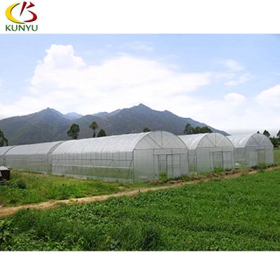 China GROWING Tomato Agricultural Single-span Single-span Film Cover PE Material Greenhouses for sale