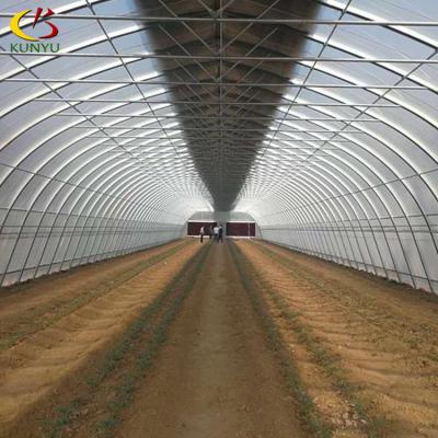 China Stable Structure Easily Assembled Low Cost Fully Automated Dep Blackout System Lightweight Greenhouse for sale