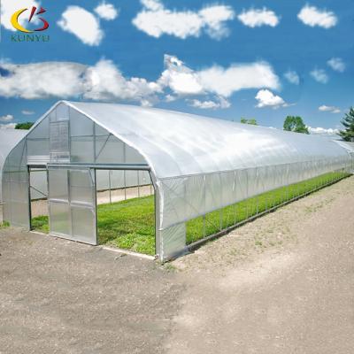 China Planting Vegetable Agriculture Hot Sale Tomato Chili Lettuce Strawberry Plastic Durable Customized Greenhouse for sale