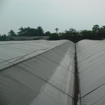 China Asian PE Factory Roof Opening Ventilation For Temprreture And Humidity Refresh Greenhouse In China for sale