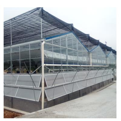 China Gothic Glass Panels Steel Structure Industrial Greenhouse for sale