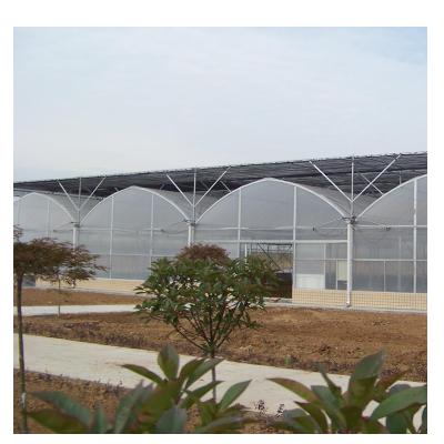 China Durable Clear PE Plant Growing Plastic Film For Greenhouse for sale