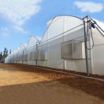 China Hot Selling PE Greenhouse Structure / Film Greenhouse Structure Frame for sale