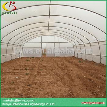 China Single PE Tunnel Greenhouse Polycarbonate Advanced Homemade Vegetable Tunnel Greenhouse for sale