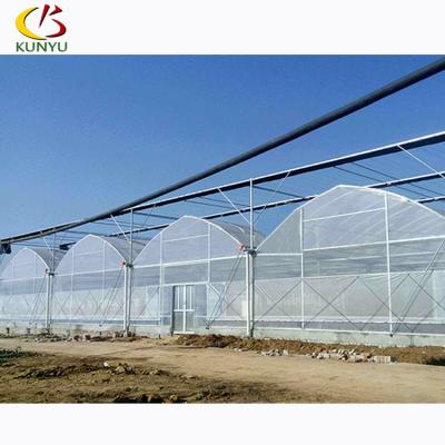 China Stable structure easily assembled gothic style plastic sheet polytunnel vegetable greenhouse for sale for sale