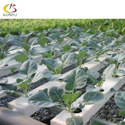 China China Supplier New PVC Material Hydroponic Channel Hydroponic System Vegetable Growing Greenhouse Square Tube for sale