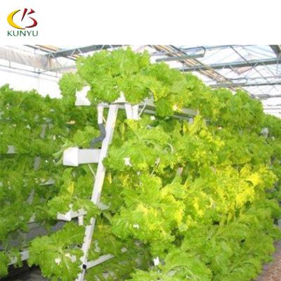 China High Quality Hydroponic Farm 100*50mm PVC Nft Vertical Hydroponic System For Seeding Greenhouse Cultivation With Pump for sale