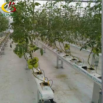 China Complete Supply 120*80mm NFT Hydroponic Greenhouse Maker Growing System For Melon And Fruit for sale