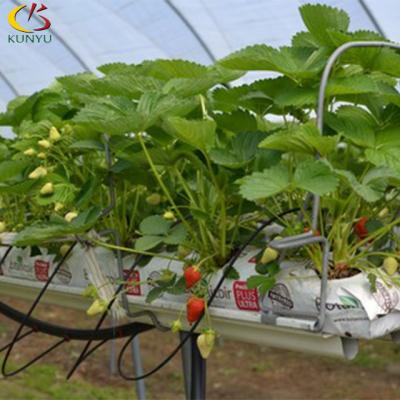 China Strawberry Growing Argricultural Irrigation Water Technology Grow Kit Strawberry White Pvc China Plant Material Original Type for sale