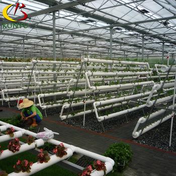 China Food Grade PVC Tomato Cucumbers Pepper Lettuce Substrates Hydroponic Greenhouse for sale